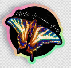 MAB Butterfly Artwork Concept