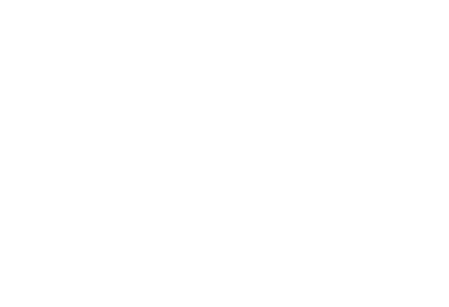 Next Show Info
